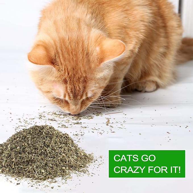 Organic Catmint, Natural Dried Catnip with Leaves & Flowers, Use for Refillable Catnip Toys for Cats, Delicately Dried and Sealed and Packaged for Easy Preservation