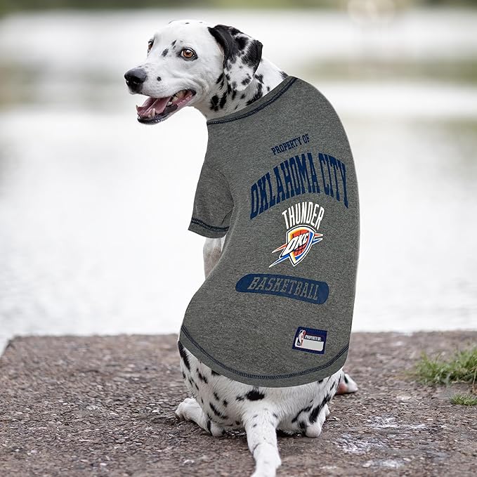 Pets First NBA Licensed Hoodies & T-shirt for Dogs & Cats, Oklahoma City Thunder, X-Small