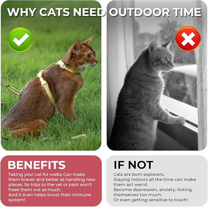 Cat Harness and Leash Set - Red Lightweight Soft Kitten Harness Escape Proof, Adjustable Travel Pet Harness for Walking,Easy Control Comfortable Outdoor (Red, One Size Fits All)