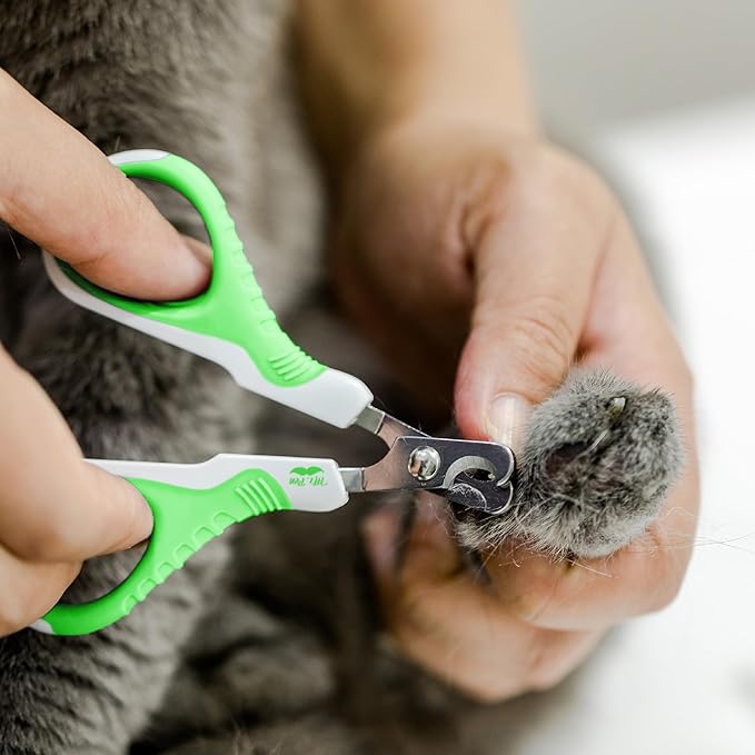 Mr. Pen- Cat Nail Clipper, Stainless Steel, Professional Sharp Cat Claw Trimmer for Small and Medium Cats, Pet Nail Clipper with Sturdy Non Slip Handle
