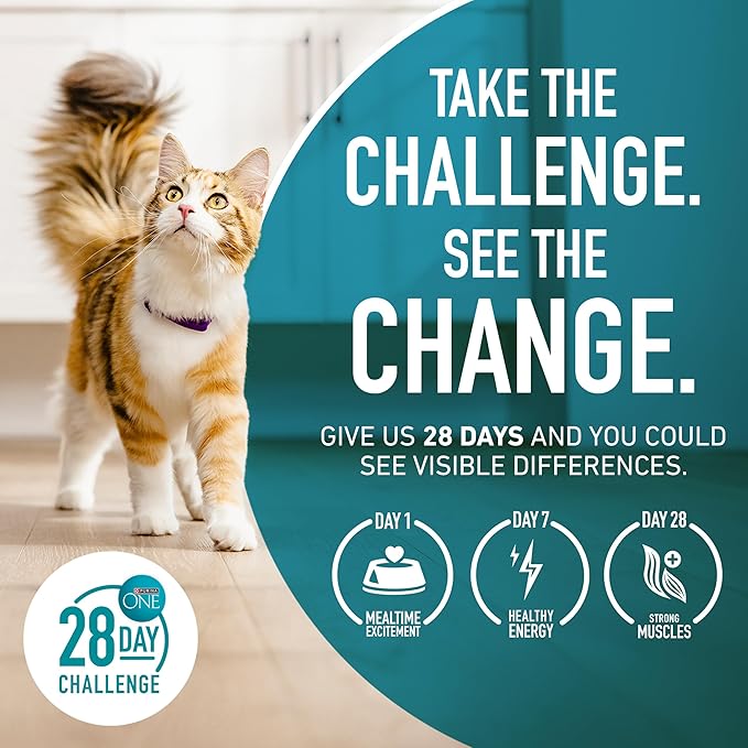 Purina ONE High Protein, Natural Senior Dry Cat Food, Indoor Advantage Senior+ - 3.5 lb. Bag