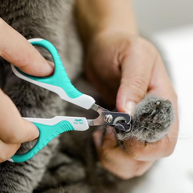 Mr. Pen- Cat Nail Clipper, Stainless Steel, Professional Sharp Cat Claw Trimmer for Small and Medium Cats, Pet Nail Clipper with Sturdy Non Slip Handle
