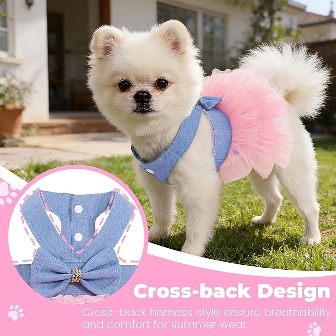 Dog Dress, Fashion Puppy Tutu Princess Dresses for Small Dogs Girl, Sweet Skirt with Dog Bowknot Clips, Spring Dog Cat Clothes Pet Apparel (Denim Dress Tutu, XX-Small)