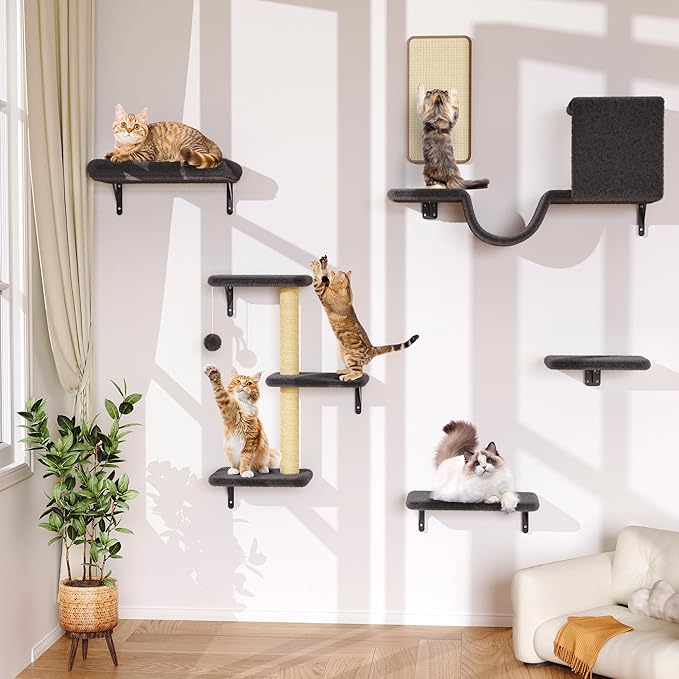 Cat Wall Shelves for Large Cats, Stable & Safe Kitty Walls Furniture Set for 40LBS Cats with Wooden Cat Climber,House, Bridge, Tree, Steps, and Scratcher for 16 Inch Drywall (Black, 5-in-1)