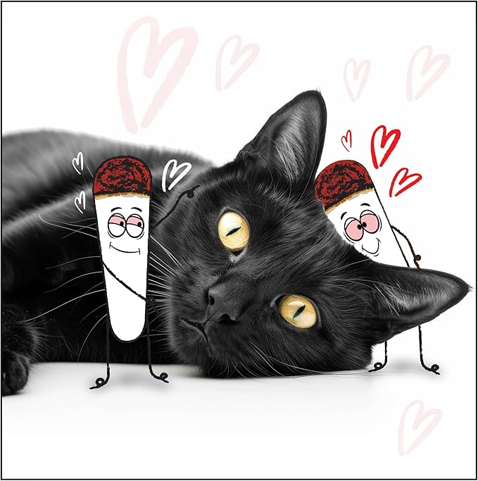 LIT LABS Kittie Doobs Adventure Toys - Funny Catnip Joints for Cats with Dried and Organic High Potency Catnip - Love Theme