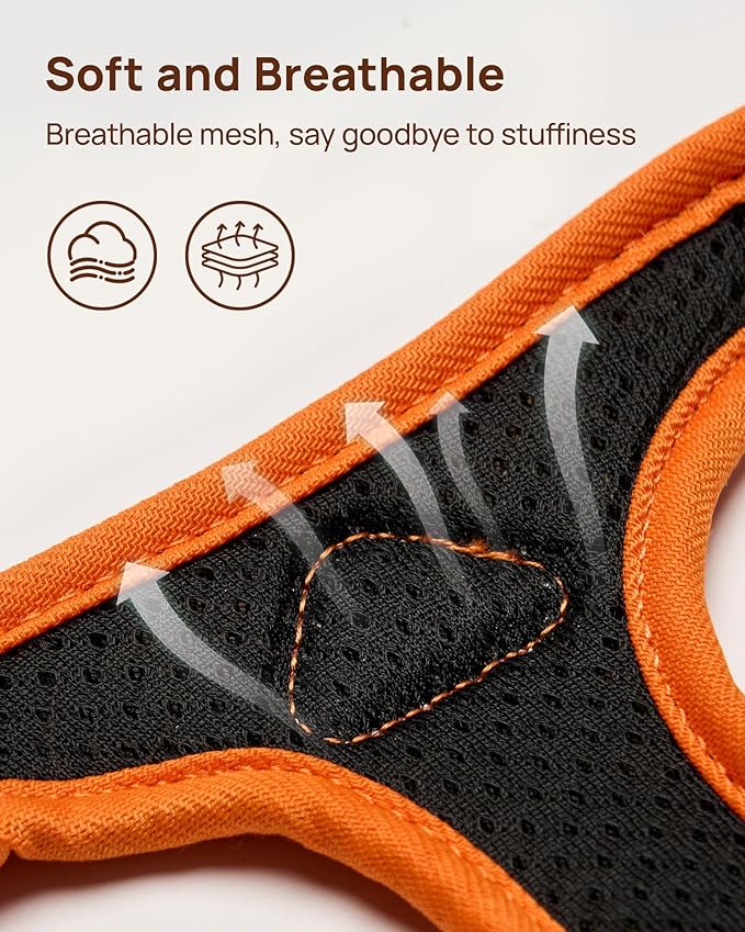 PetThem Upgraded Cat Harness and Leash Set - Step-in Escape Proof Adjustable Cat Harness, Comfortable Soft Lightweight, Reflective Harness for Walking, Travel, Camping (King of The Jungle, XS)