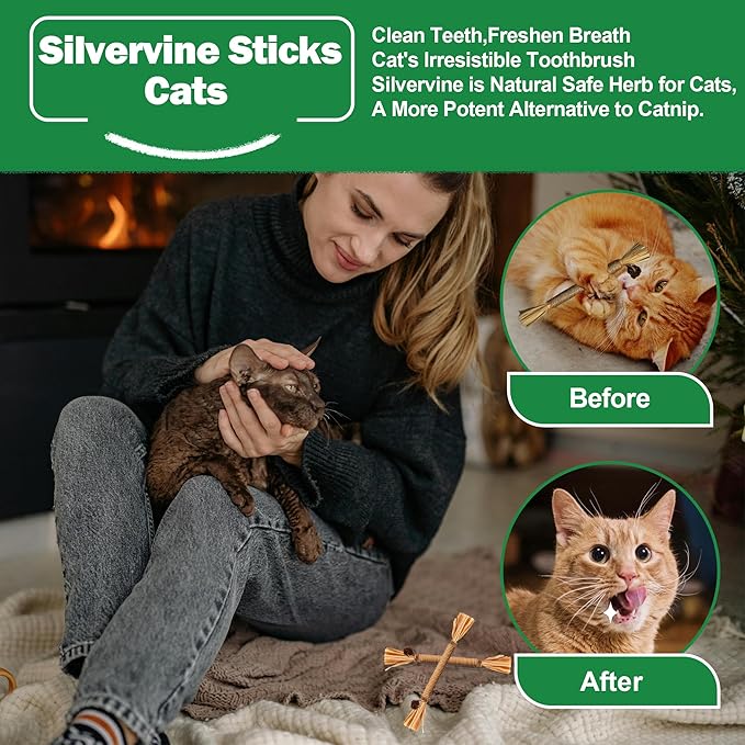 4Pcs Cat Chew Toys | 2 Silvervine Sticks & 2 Cat Cotton Rope Toys with Natural Catnip Stuffed Bags | Safe Tooth Cleaning Cats Indoor Toys | Silver vine Sticks & Catnip Rope Kitten Tooth Cleaning Toys