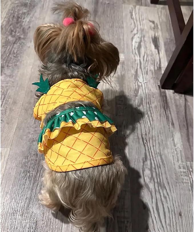 Funny Dog Swimwear Bikini Summer Dog Clothes Beach Swimsuit Puppy Bathing Suit Puppy Vest Cooling Pet Shirt for Small Dogs, Cat Apparel (Large, Yellow Pineapple)
