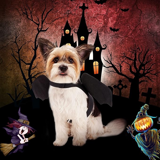 Rypet Bat Wings Pet Costume, Polyester Felt Cloth, Small, Halloween, Unisex, Durable, Easy to Clean, Bat Wings Costume for Small Dogs Cats