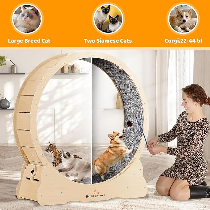 Homegroove XXL Cat Exercise Wheel, 52"/132cm Large Cat Wheel, Solid Wood Cat Treadmill with Integrated Safety Lock, Spine Alignment Design for Large Indoor (XXL, Natural Wood)