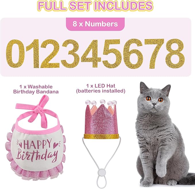 Cat Birthday Hat with Bandana, Light Up Party Outfit, Pink
