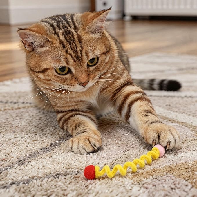24 Pack Cat Spring Toy, Colorful Cat Spiral Spring, Attracting Cats to Interact for Swatting, Biting, Hunting Kitten Toys