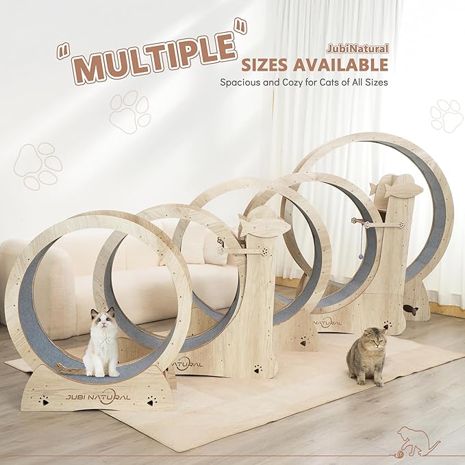 Cat Exercise Wheel for Indoor Cats, 43" Interactive Cat Running Wheel with Scratching Board, Teaser Toy & Storage Shelf, Quiet Carpet Track, Safety Lock, Anti-Pinch Cat Treadmill for Energy Release