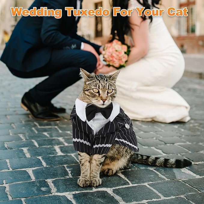 Cat Apparel, Stylish Tuxedo Outfit for Kitty with Tie, Black Stripes Pet Outfits for Wedding, Birthday, Party, Large