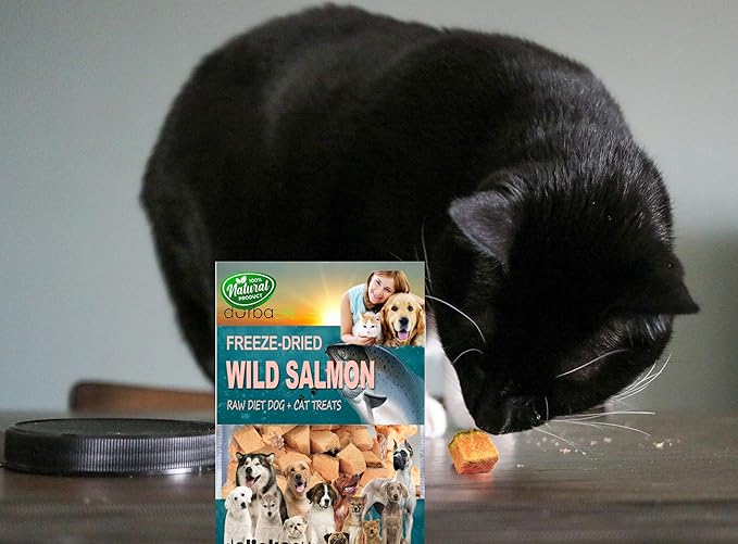 Freeze-Dried Wild-Caught Pink Salmon Treats for Dogs & Cats - Nutrient-Dense, Single-Ingredient Snack, Food Topper. Gluten-Free Weight Control, Training Bites, Allergy Friendly (2.5 Ounce, Salmon)