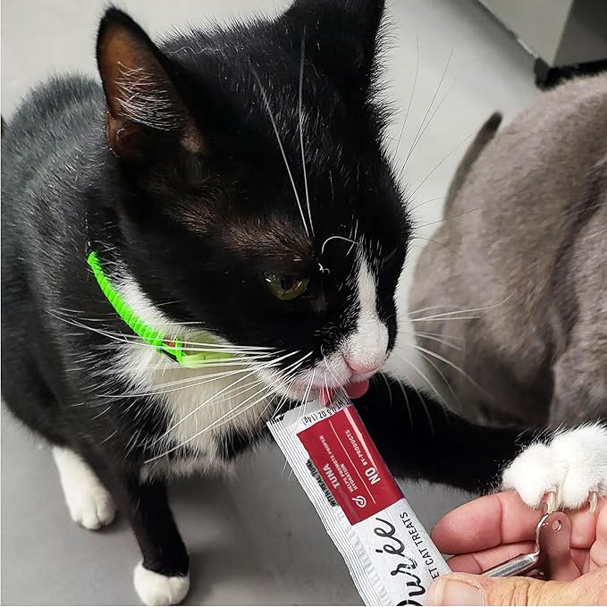 Squeezer & Cat Puree Box. Pure Balance Puree Gourmet Cat Treats Real Tuna Grain Free (20 Tubes)