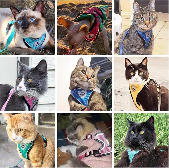 PUPTECK Cat Harness and Leash Set Escape Proof Reflective Cat Walking Harness Adjustable Soft Breathable Mesh Vest for Small Pets, Blue Sharks, M