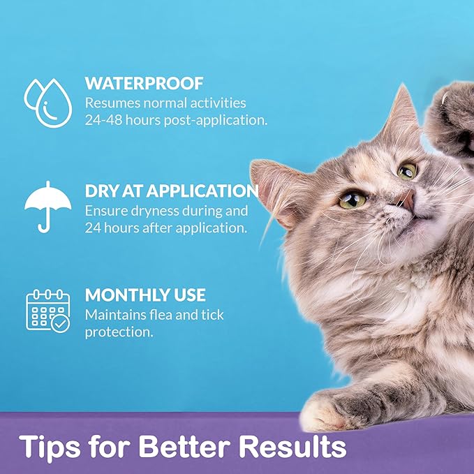 Topical Flea and Tick for Large Cats: Waterproof Topical Cat Flea and Tick – Fast-Acting & Long-Lasting at Home Control for Cats Over 9 lbs and 8 Weeks or Older – 12-Dose Supply