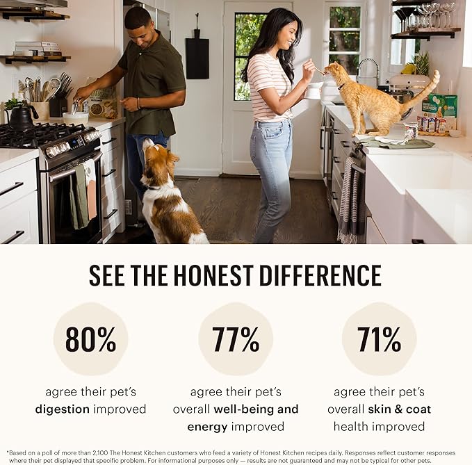 The Honest Kitchen Whole Food Clusters Grain Free Chicken Dry Cat Food, 1 lb Trial Pouch (Pack of 2)