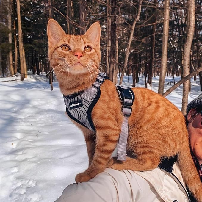 rabbitgoo Cat Harness and Leash for Walking, Escape Proof Soft Adjustable Vest Harnesses for Cats, Easy Control Breathable Reflective Strips Jacket, Grey, XS