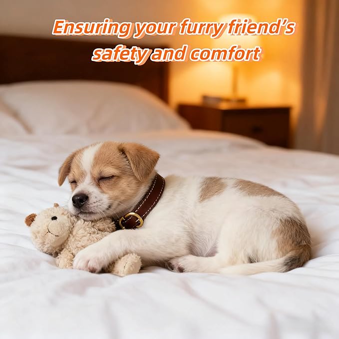 Genuine Leather Cat Collar Adjustable Durable and Comfortable for Cats, Puppies, and Extra Small Dogs(S,15" (Neck Fits 10"-13")