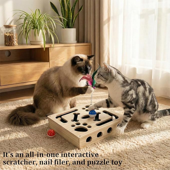 Cat Scratch Puzzle Enrichment Box, Cat Nail File Enrichment Box Sandpaper, Interactive Cats Treat Toy Stress Free, Scratchers that Trim Nails
