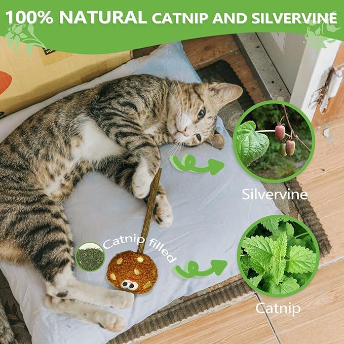 Silvervine Sticks for Cats (5-Pcs), Catnip Lollipop Cat Toy for Indoor Cats, Natural Cat Chew Toys for Kitten Teething and Teeth Cleaning