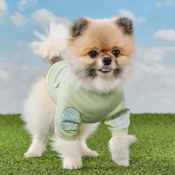 Puppia Eco Pocket T-Shrit Eco-Friendly Made from Recycled Polyester Fabric for Small and Medium Dogs, Green, Medium