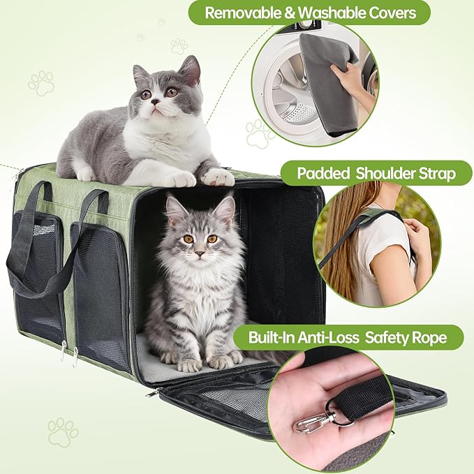 Cat Carrier for 2 Cats - Double Pet Carrier Extra Large, Dual Cabin Multi Cat Travel Carrier with Removable Divider, Collapsible, Can Hold 20 30 40 lbs for Two Small Kitten, Medium Dog Green