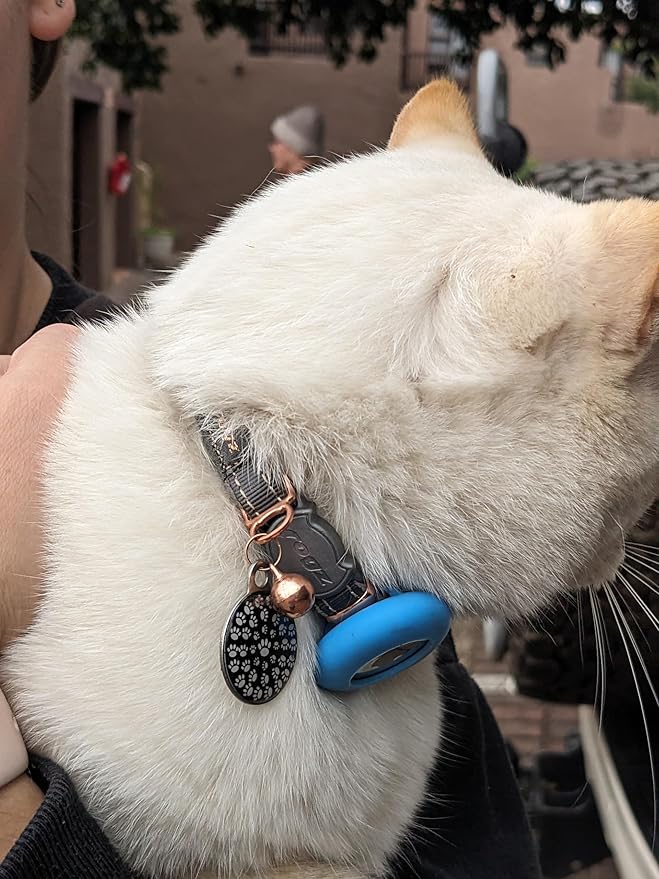 Rogz Urban Cat Safety Collar Small/Medium - Turquoise Moon