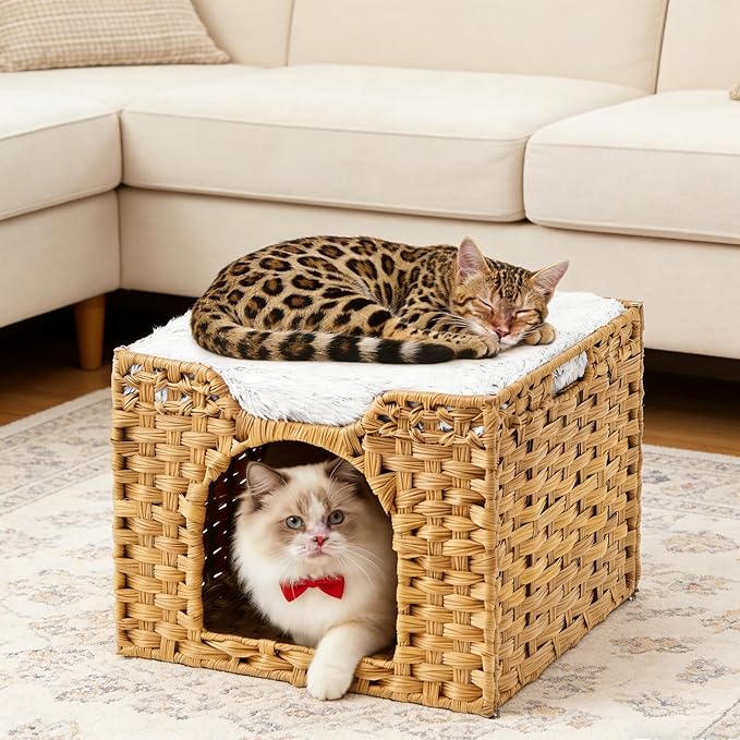 Rattan Cat House for Indoor Cats, Large Cat Bed Cave with One Bed Mat, Foldable Cat Condo Cube Hideaway for Multi Small Pet