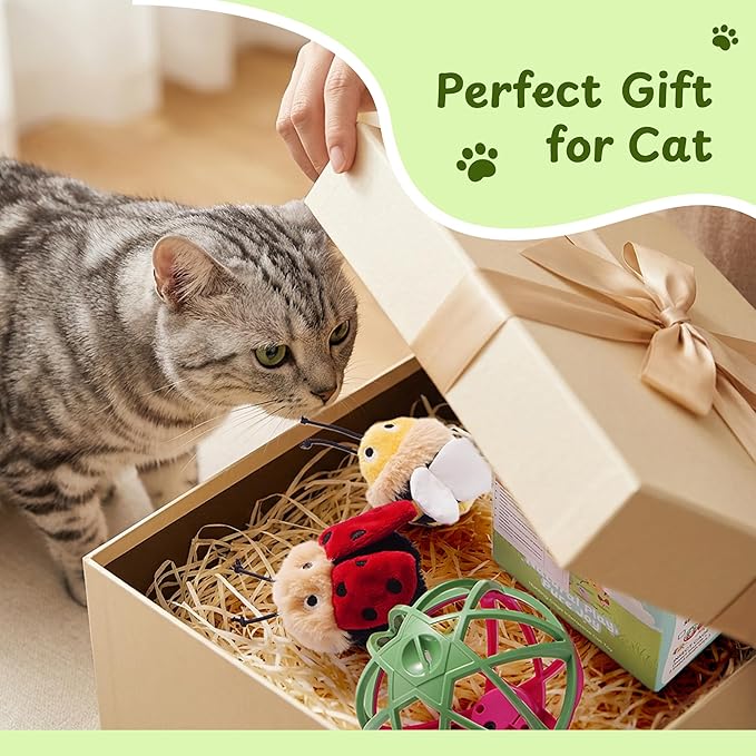 Cat Toys for Indoor Cats - Interactive Ball Cage Cat Toy with Realistic Insect Sounds & 2 Catnip Plush Toys, Motion-Activated Hunting Simulation Toy for Cats