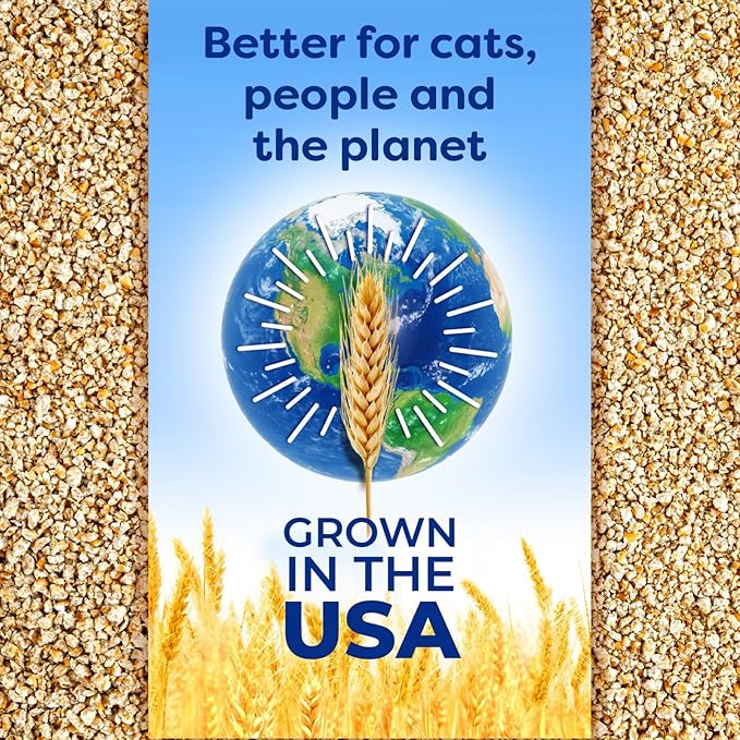 sWheat Scoop Natural Wheat Cat Litter, Original, Fast Clumping with Odor Neutralizing Enzymes, 28 Pound Bag