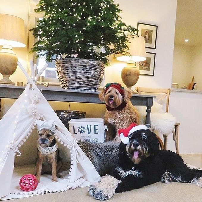 MINICAMP Pet Teepee Bed for Dogs and Cats – Cozy Indoor Dog Tent with Natural Cotton– Luxury Pet House & Hideaway Bed for Small to Large Dogs, Cats & Small Animals - Made in EU (Large)