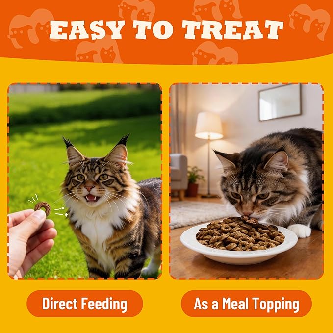 9 oz Cat Multivitamin Treats Vitamins for Cats Chicken Flavor Cat Training Treats Cat Treats for Indoor Cats