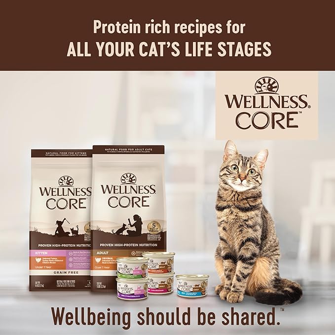 Wellness CORE Salmon, Whitefish and Herring Recipe Cat Food (Pack of 24, 5.5-Ounce Cans)