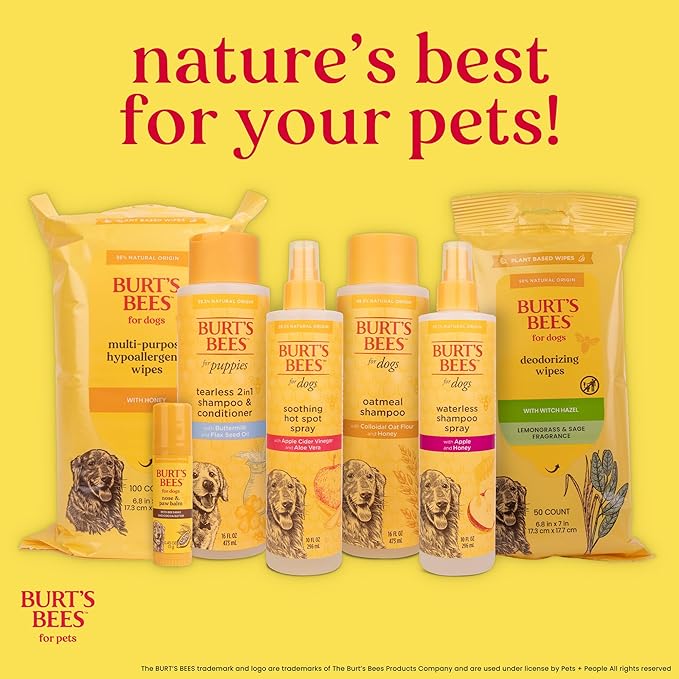 Burt's Bees for Pets Cat Dander Remover Wipes, Colloidal Oat Flour and Aloe to Soothe Dry Skin and Reduce Flaking, Unscented Grooming Cloths for Cats and Kittens, 50 Count - 3 Pack