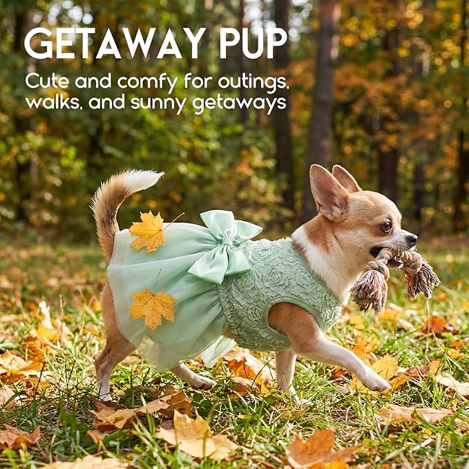 ASENKU Dog Dress Pet Wedding Dress Princess Lace Puppy Birthday Party Outfit Formal Apparel Girl for Small Medium Dogs Cats (XX-Small, Green)