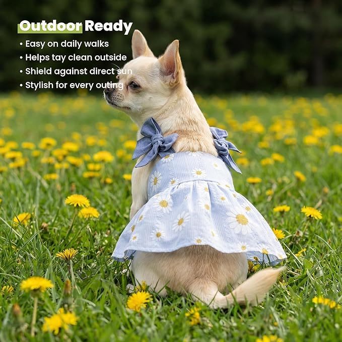 Fitwarm Daisy Dog Dress, Elegant Summer Clothes for Small Dogs Girl, Lightweight Pet Clothes, Blue, White, XXS