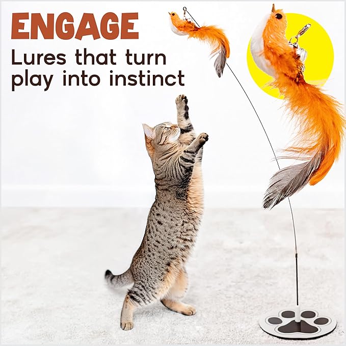 Bird Toy for Cats - 5 Pack Natural Feathers Stable Round Base - Interactive Wand Teaser - Self Play Hunting Enrichment - Bored Indoor Adult Feline Activity - Stimulating Kitten Juguetes para Gatos