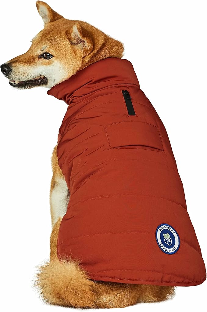 Blueberry Pet Cozy & Comfy Windproof Waterproof Quilted Dog Coat, Rusty Orange Winter Jacket for Medium Dogs, 20" Back Length, Warm Snowsuit-Style Outfit