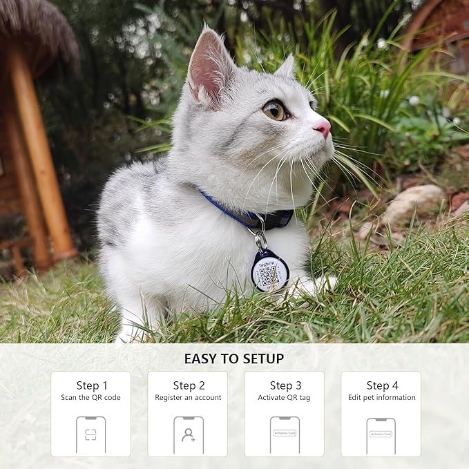 Airtag Cat Collar Breakaway With Apple Air Tag Holder, QR Code, Bell, ID Tag for Girl Boy Kitten - Reflective, Personalized Real-time Scan Alerts (Black)