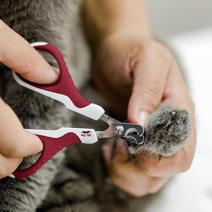 Mr. Pen- Cat Nail Clipper, Stainless Steel, Professional Sharp Cat Claw Trimmer for Small and Medium Cats, Pet Nail Clipper with Sturdy Non Slip Handle