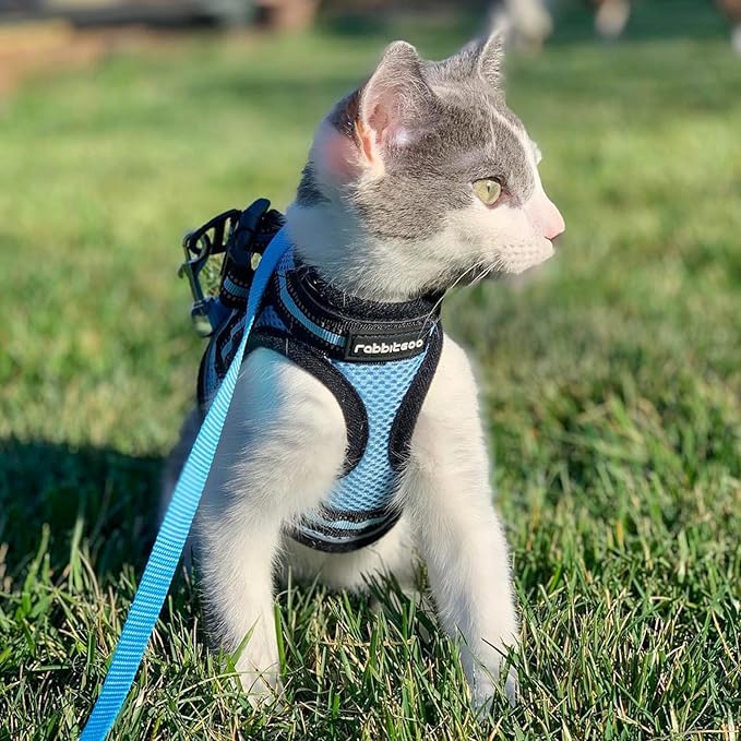 rabbitgoo Cat Harness and Leash Set for Walking Escape Proof, Adjustable Soft Kittens Vest with Reflective Strip for Cats, Comfortable Outdoor Vest, Light Blue, L