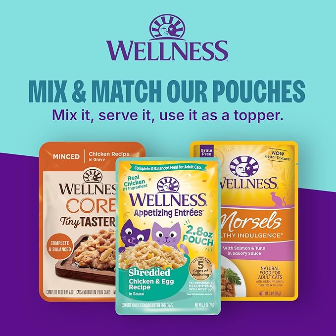 Wellness CORE Signature Selects Shredded Kitten Canned Wet Cat Food, Natural, Protein Rich, Grain Free, Chicken Entrée Recipe, 5.3 oz, Pack of 12 Cans