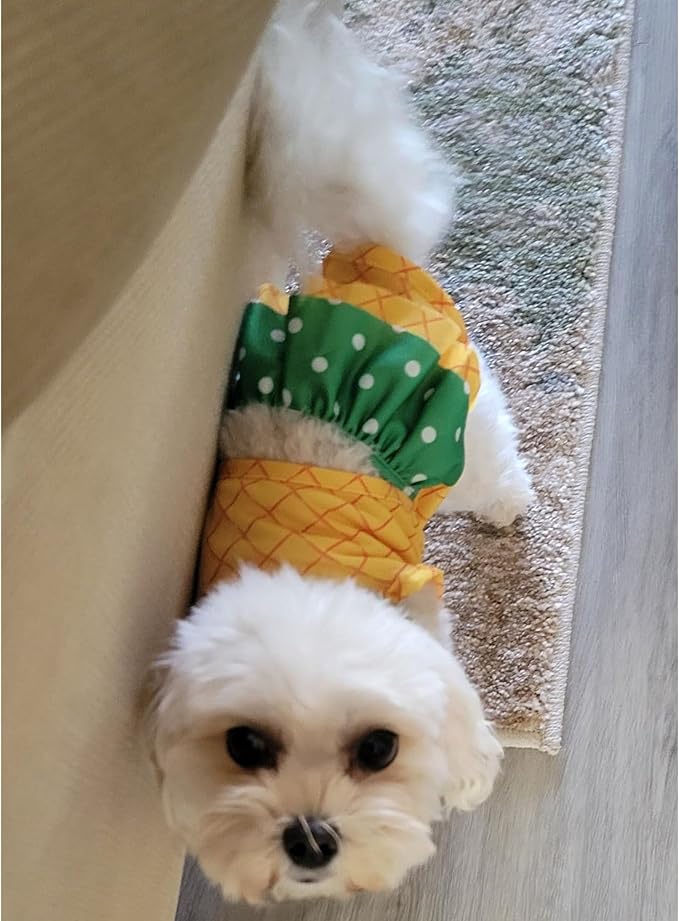 Funny Dog Swimwear Bikini Summer Dog Clothes Beach Swimsuit Puppy Bathing Suit Puppy Vest Cooling Pet Shirt for Small Dogs, Cat Apparel (Medium, Yellow Pineapple)