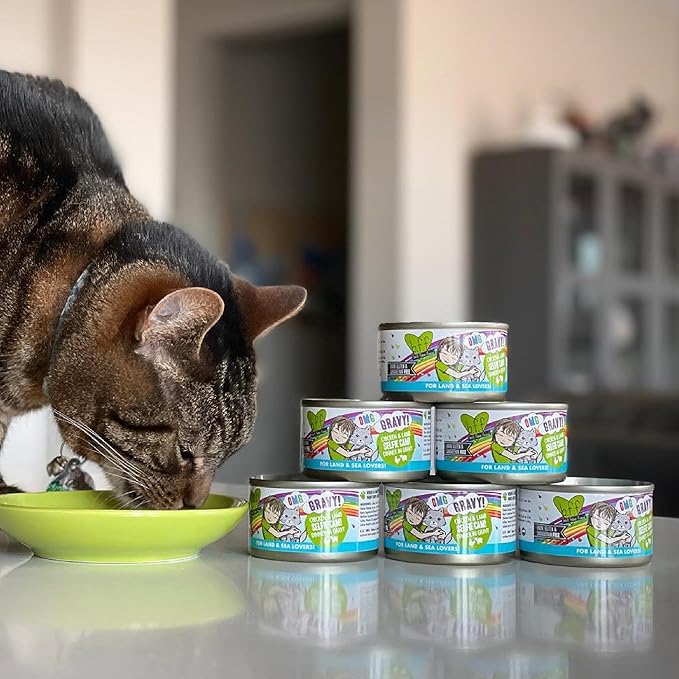 Weruva B.F.F. OMG - Best Feline Friend Oh My Gravy!,Love Munchkin! with Chicken & Pumpkin in Gravy Cat Food,5.5oz Can,(Pack of 16)