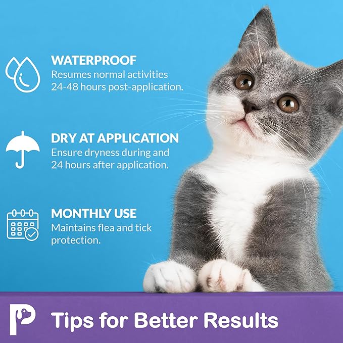Topical Flea and Tick for Cats & Kittens: Waterproof Topical Cat Flea and Tick – Fast-Acting & Long - Lasting at Home Control for Cats Over 1.5 lbs and 8 Weeks or Older – 12-Dose Supply