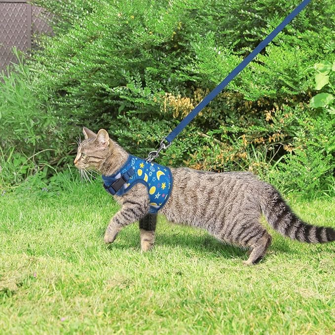 BINGPET Cat Harness with Leash Escape Proof - Fashionable Mesh Cat Dog Walking Harness Leads, Adjustable for Kitties Puppies Small Animals,Galaxy