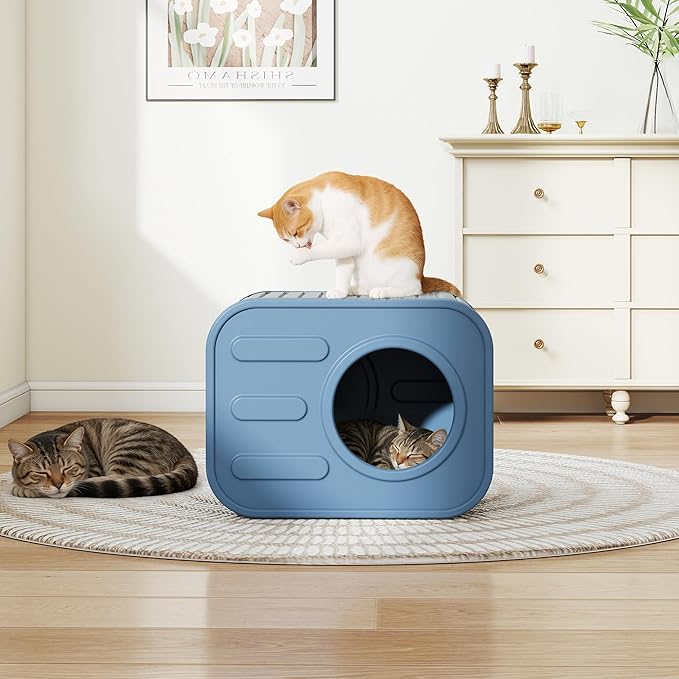 Outdoor Cat House Weatherproof with Camera-Shaped Design,Sturdy Resin Outside Cat Shelter, Insulated Cat House Outdoor for Patio